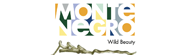 Montenegro Tourism