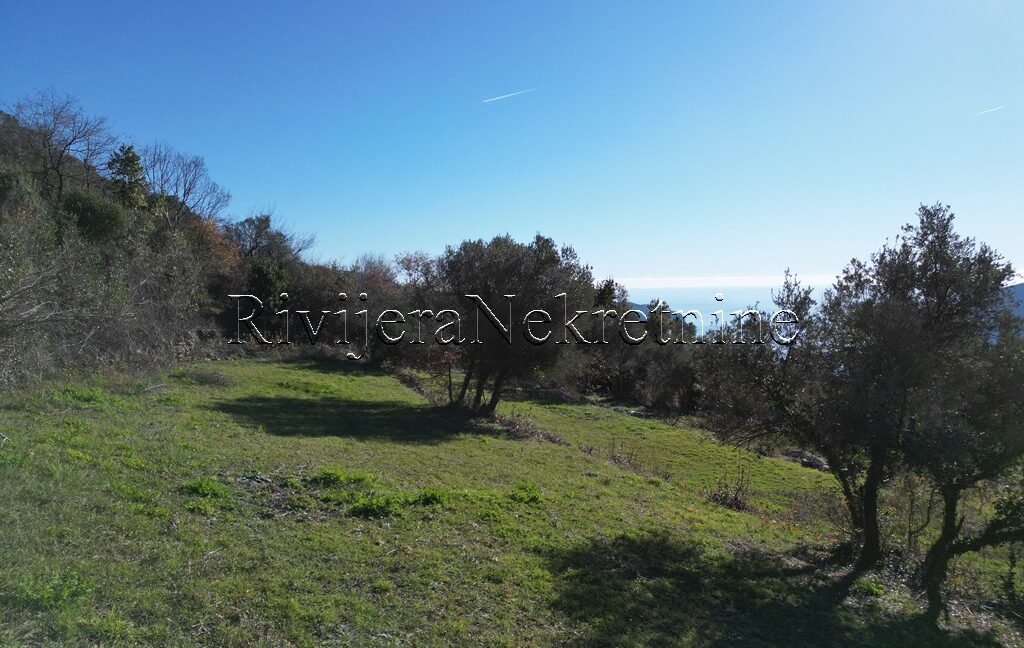 Trebesin_Herceg_Novi_plac_prodaja_plot_land_sale_Rivijera_Nekretnine_ (3)