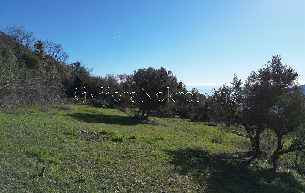 Trebesin_Herceg_Novi_plac_prodaja_plot_land_sale_Rivijera_Nekretnine_ (4)