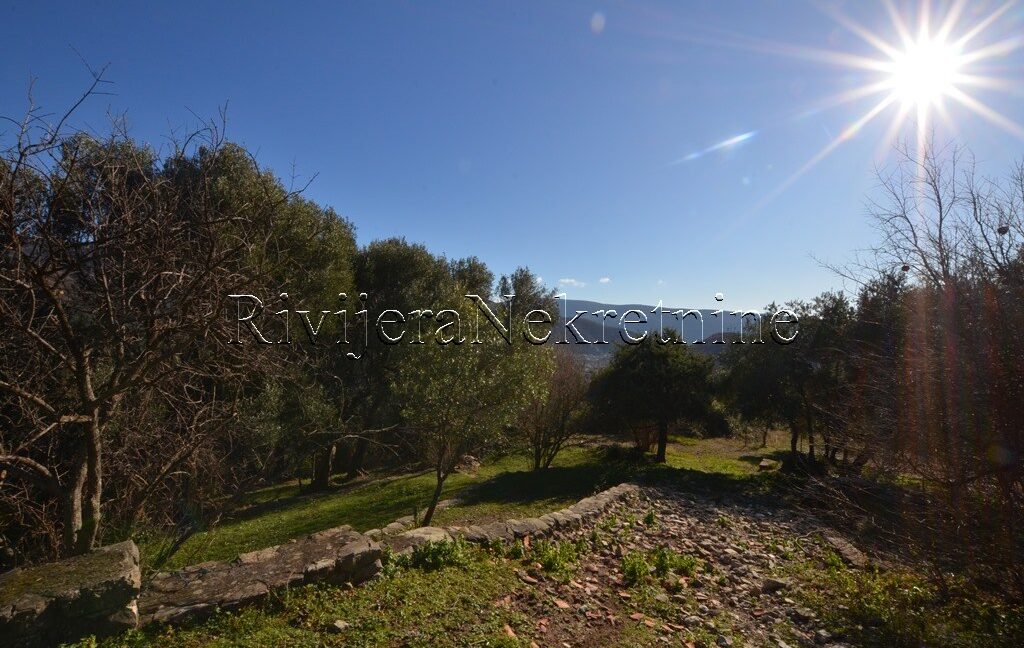 prodaja_sale_plac_kuca_Sale_house_Rivijera_Nekretnine_oglasi_Ads_ (4)