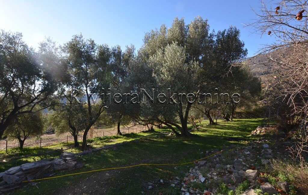 prodaja_sale_plac_kuca_Sale_house_Rivijera_Nekretnine_oglasi_Ads_ (5)