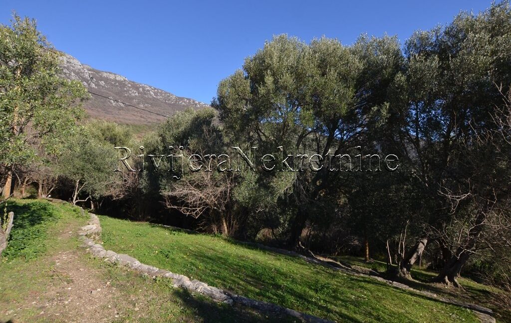 prodaja_sale_plac_kuca_Sale_house_Rivijera_Nekretnine_oglasi_Ads_ (6)