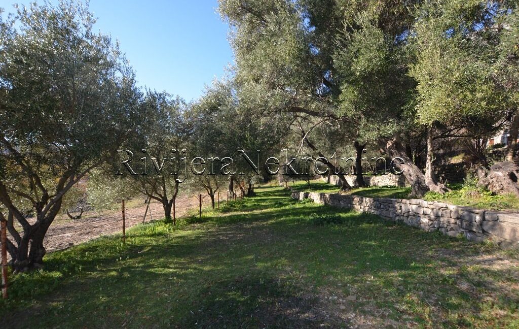prodaja_sale_plac_kuca_Sale_house_Rivijera_Nekretnine_oglasi_Ads_ (7)