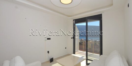 One-bedroom apartment with a great sea view Djenovic