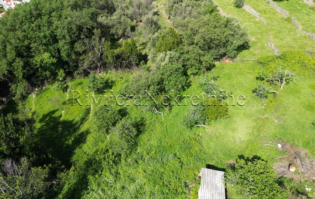 Prodaja_Sale_Rivijera_Nekretnine_oglasi_Ads_Suscepan_land_plot_plac_Herceg_Novi (3)