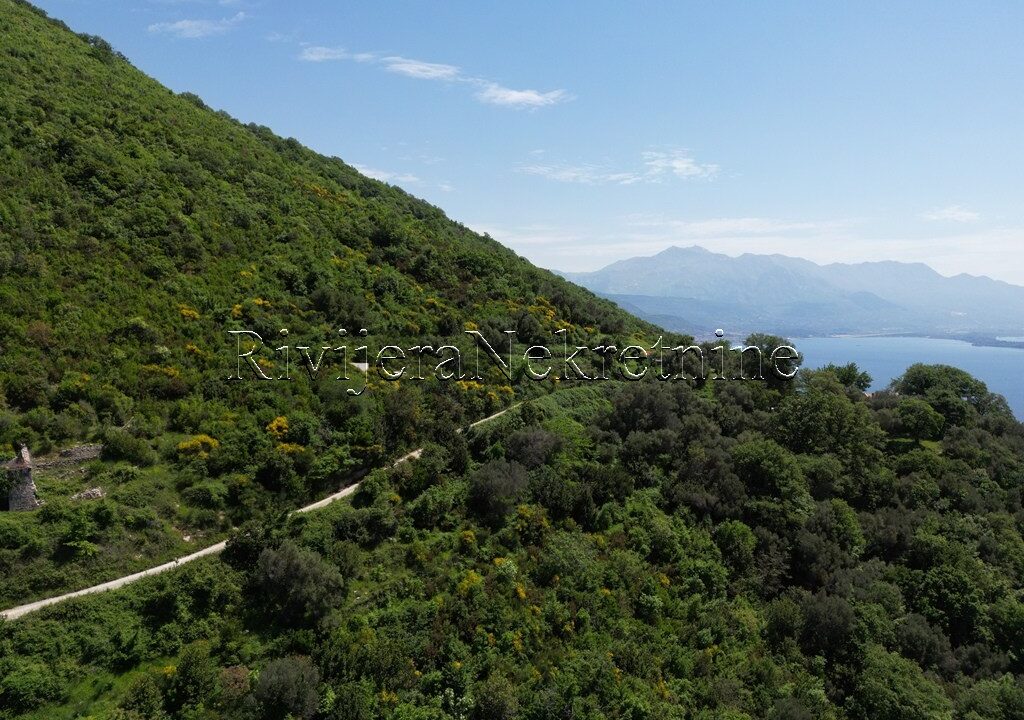 Prodaja_prodaza_sale_Rivijera_nekretnine_oglasi_Ads_Baosici_Herceg-Novi_plac_land_ (6)