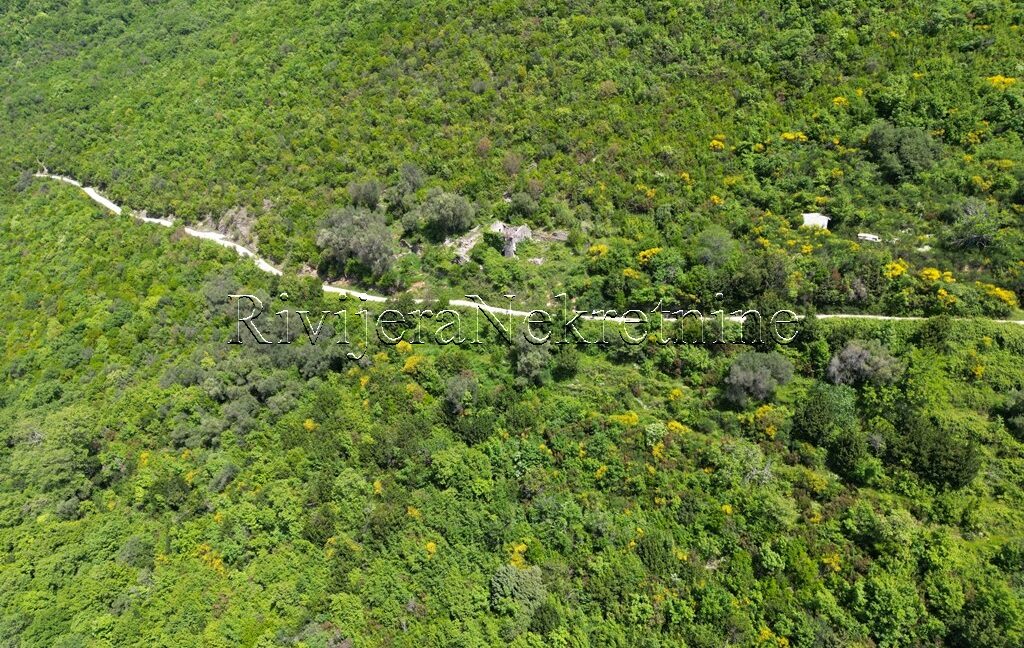Prodaja_prodaza_sale_Rivijera_nekretnine_oglasi_Ads_Baosici_Herceg-Novi_plac_land_ (7)