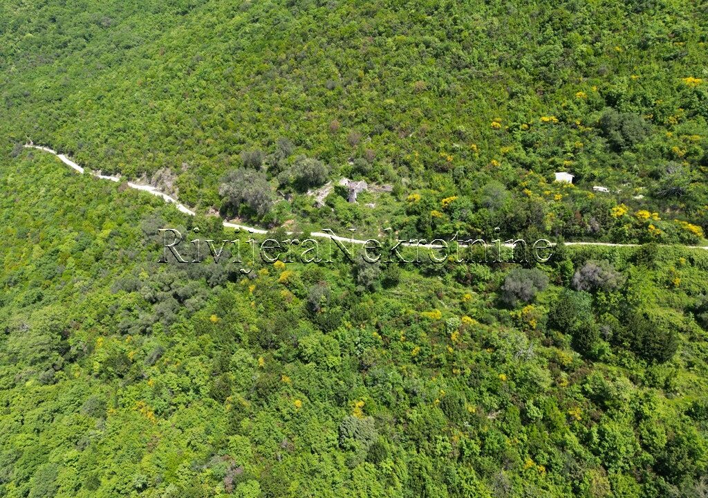 Prodaja_prodaza_sale_Rivijera_nekretnine_oglasi_Ads_Baosici_Herceg-Novi_plac_land_ (7)