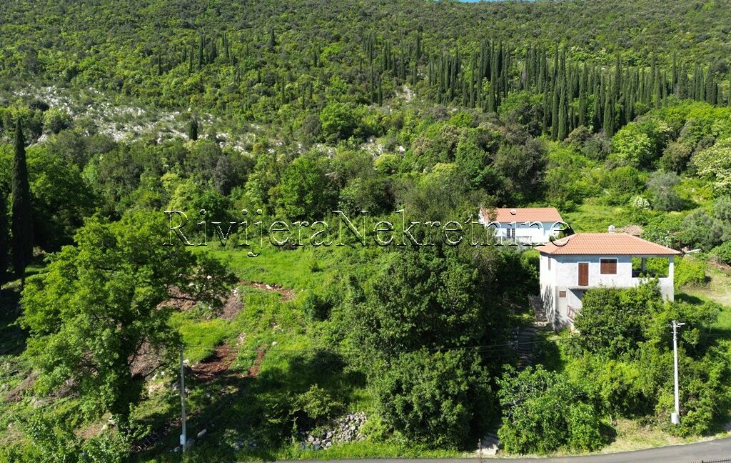 prodaja_sale_Rivijera_Nekretnine_oglasi_Ads_Zvinje_Herceg_novi_land_landplot_plac (2)