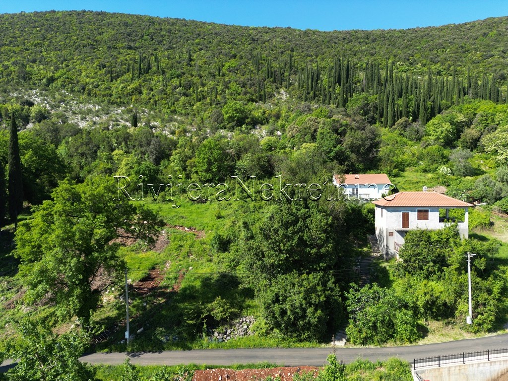 prodaja_sale_Rivijera_Nekretnine_oglasi_Ads_Zvinje_Herceg_novi_land_landplot_plac (2)