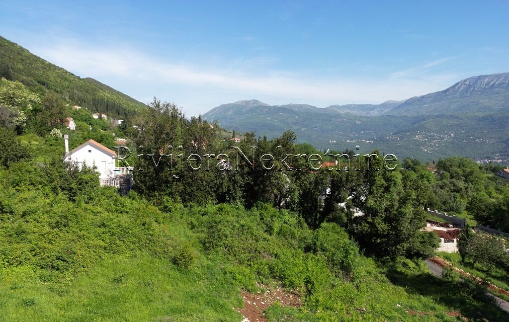 prodaja_sale_Rivijera_Nekretnine_oglasi_Ads_Zvinje_Herceg_novi_land_landplot_plac (3)