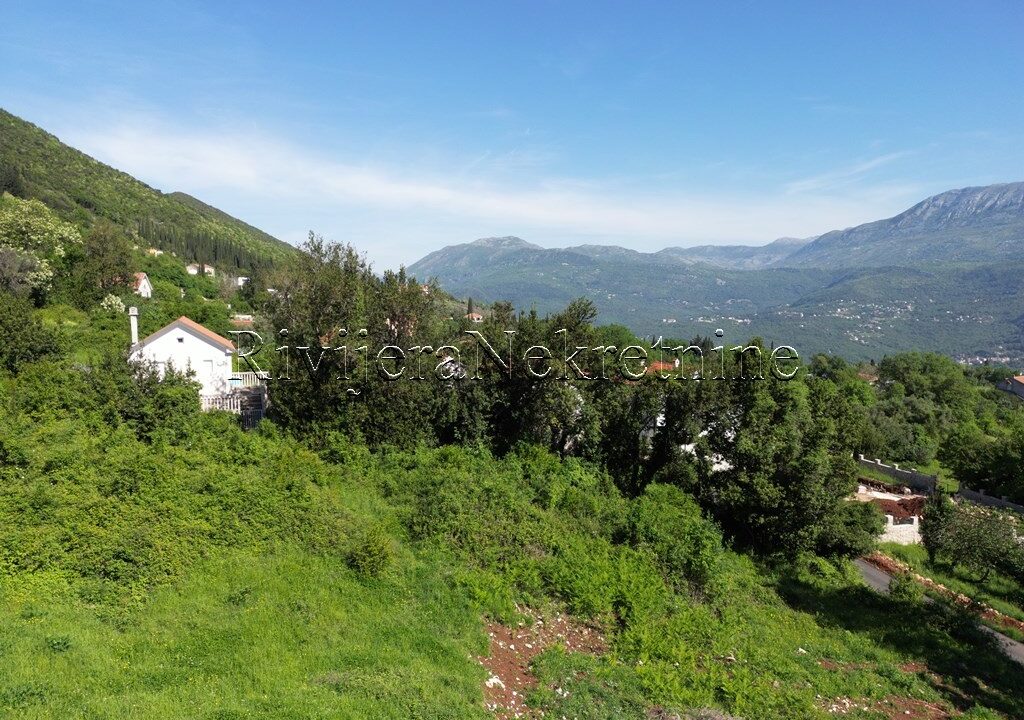 prodaja_sale_Rivijera_Nekretnine_oglasi_Ads_Zvinje_Herceg_novi_land_landplot_plac (3)