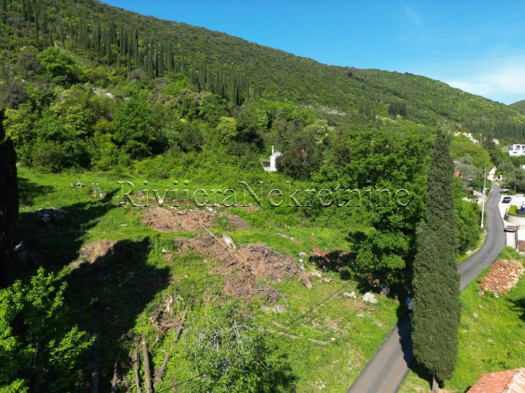 prodaja_sale_Rivijera_Nekretnine_oglasi_Ads_Zvinje_Herceg_novi_land_landplot_plac (4)