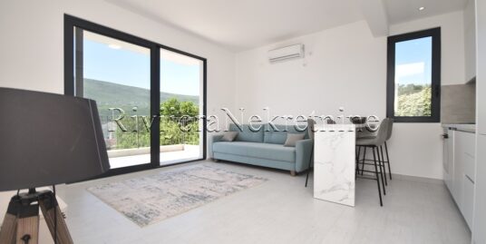 Luxuriously furnished one-bedroom apartment with parking Djenovi
