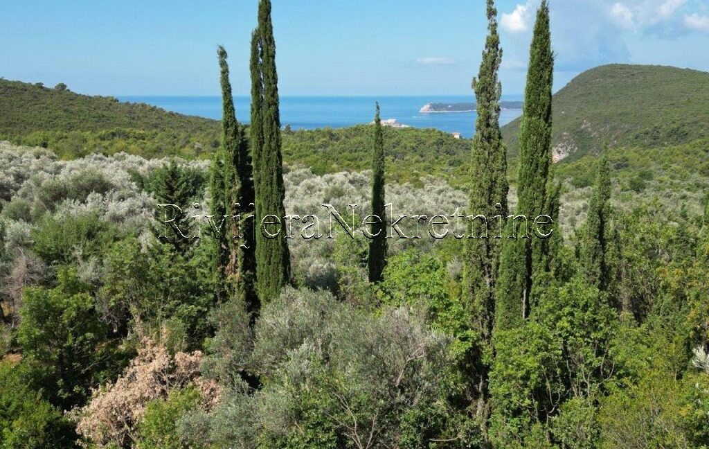 prodaja_Sale_Rivijera_Nekretnine_oglasi_Ads_kuca_house_Lustica_Lustica_bay_(6)