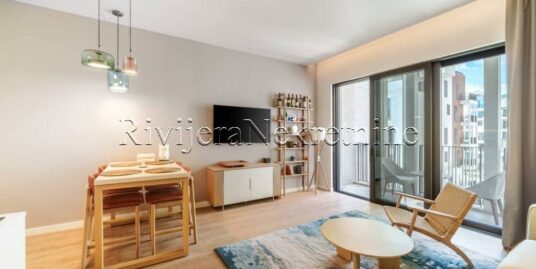 Furnished one-bedroom apartment in the prestigious residential