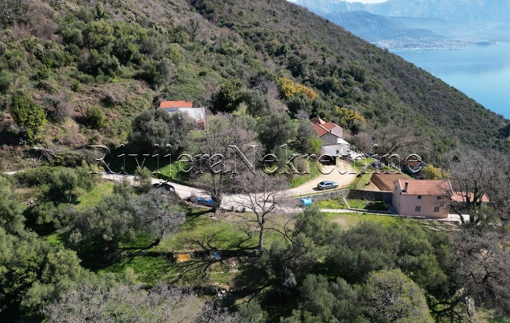 prodaja_Sale_rivijera_Nekretnine_Ad_ads_oglasi_baosici_Herceg_novi_lan_plot_plac_zemlja _realestae_(12)
