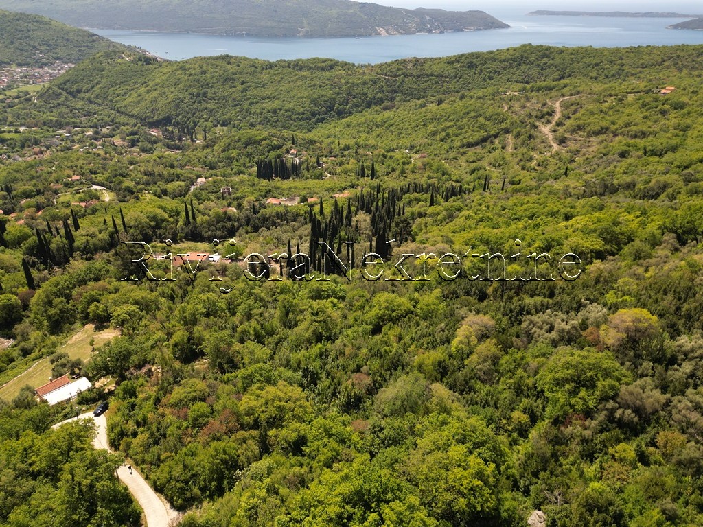 prodaja_prodaza_Sale_Rivijera_Nekretnine_Ads_oglasi_Sasovic_Herceg_Novi_plac_zemlja_landplot_real_Estate_ (4)