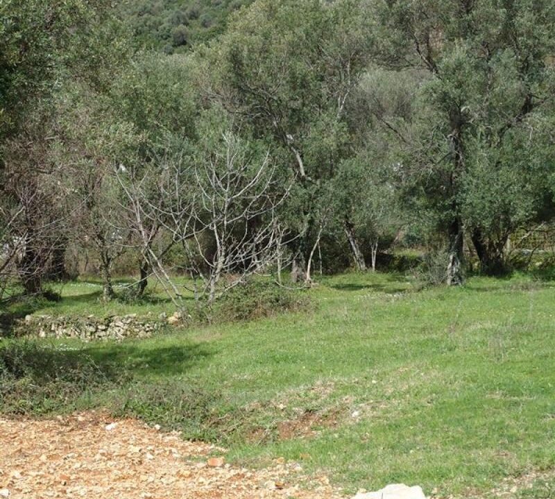 Ground Djenovici Herceg Novi-Top Estate Montenegro