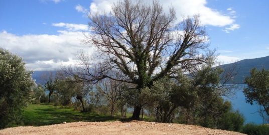 Land with sea view Herceg Novi, Djenovic