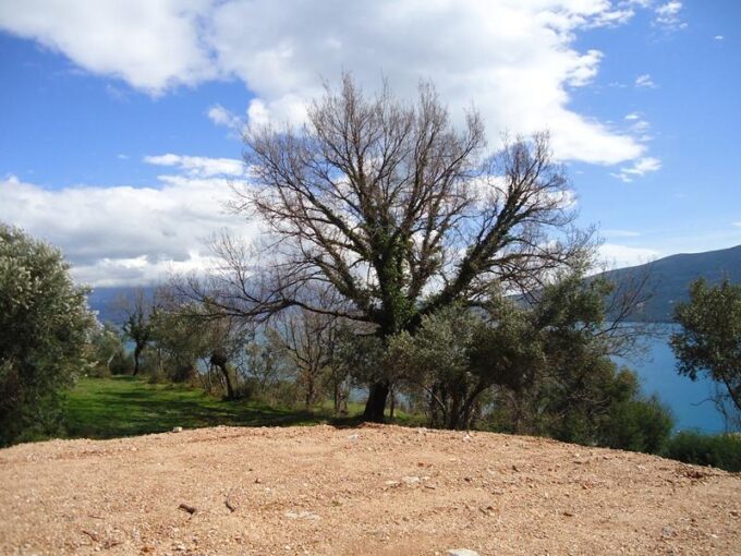 Land Djenovici Herceg Novi-Top Estate Montenegro