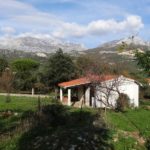 Property with garden house Herceg Novi spanjola-Top Estate Montenegro