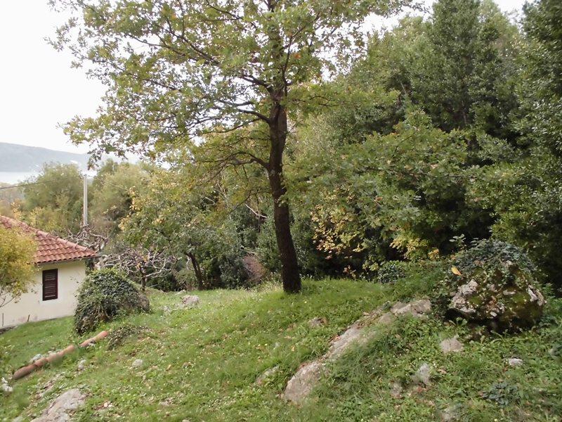 Земельный участок со старым домом, Поди, Герцег-Нови