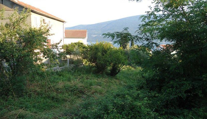 Property Djenovici Herceg Novi-Top Estate Montenegro