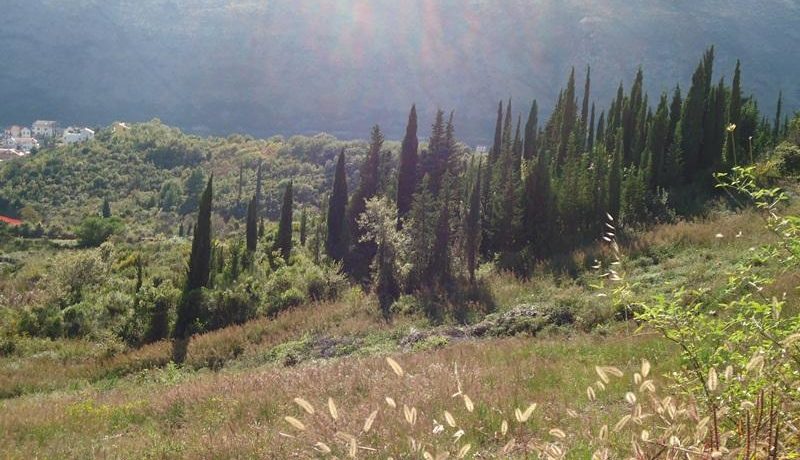 Ground Igalo Herceg Novi-Top Estate Montenegro