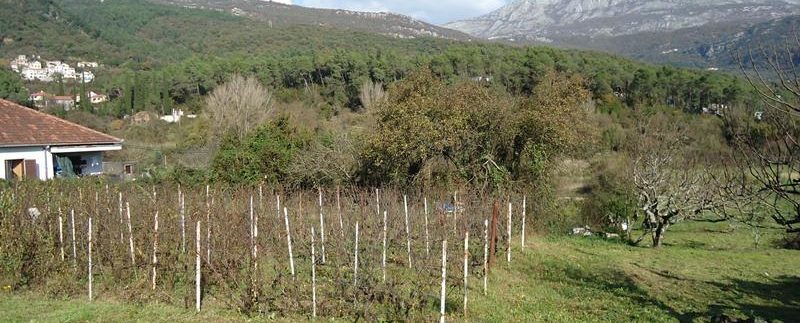 Land Sutorina Herceg Novi-Top Estate Montenegro