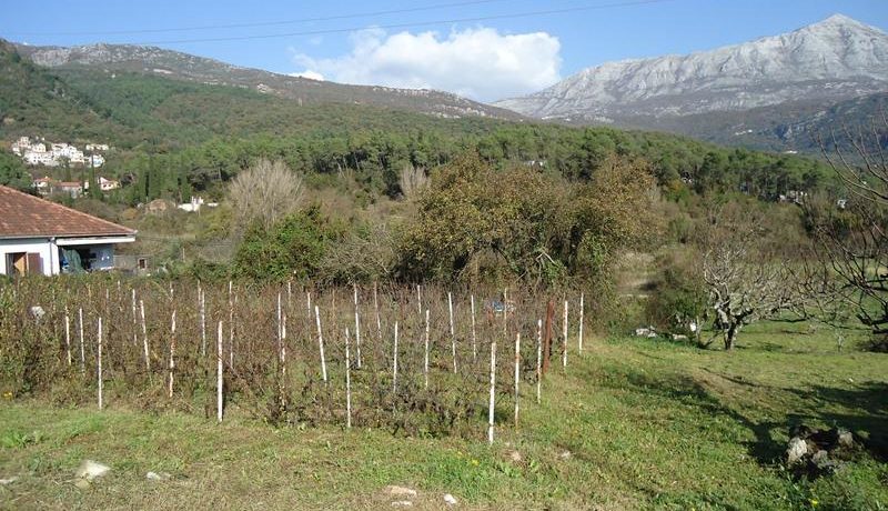 Land Sutorina Herceg Novi-Top Estate Montenegro