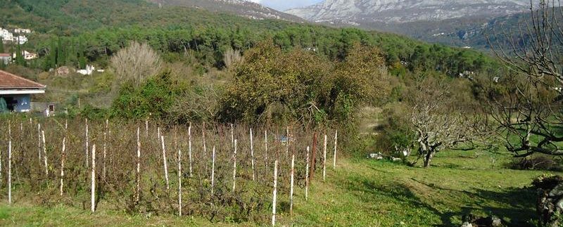 Plot Sutorina Herceg Novi-Top Estate Montenegro