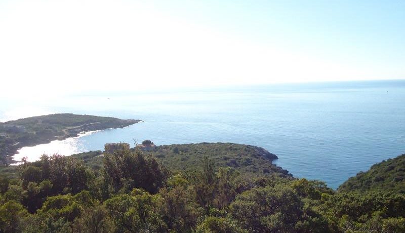 Land Lustica Herceg Novi-Top Estate Montenegro