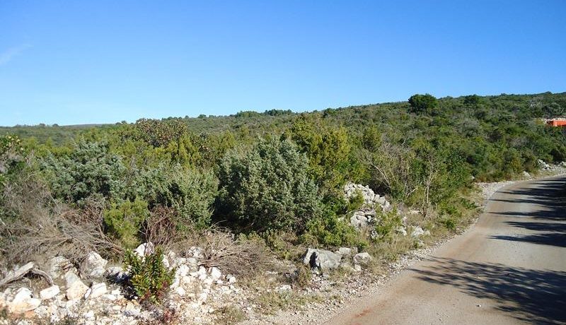 Plot Lustica Herceg Novi-Top Estate Montenegro