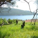 Plot Kumbor Herceg Novi-Top Estate Montenegro