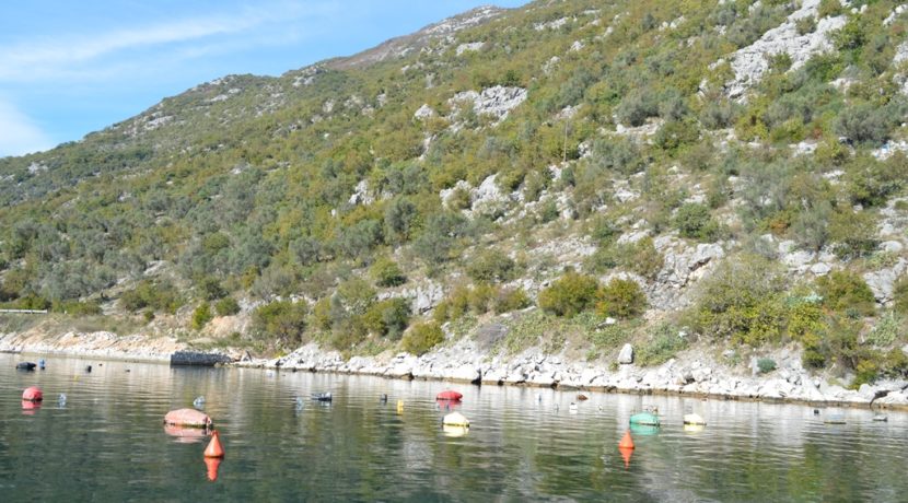 Land Kotor-Top Estate Montenegro