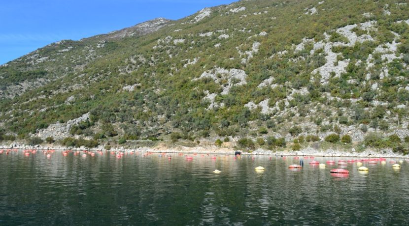 Property Kotor-Top Estate Montenegro