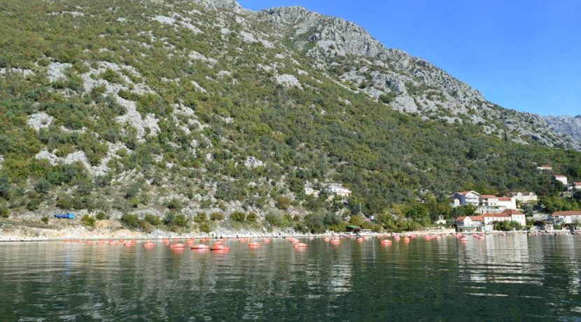 Real estate Kotor-Top Estate Montenegro