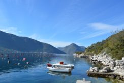 Sea view Property Kotor-Top Estate Montenegro
