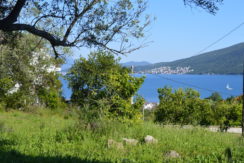 Plot Djenovici Herceg Novi-Top Estate Montenegro