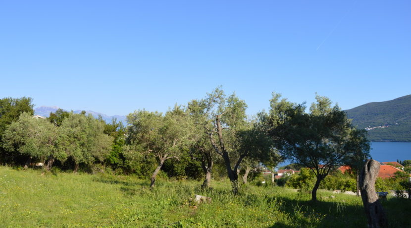 Property side Djenovici Herceg Novi-Top Estate Montenegro