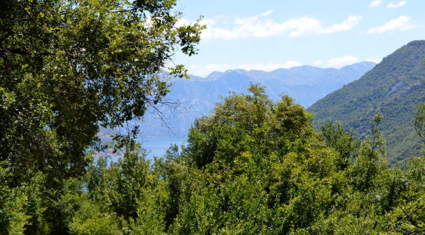 Land Gornji Morinj Kotor-Top Estate Montenegro