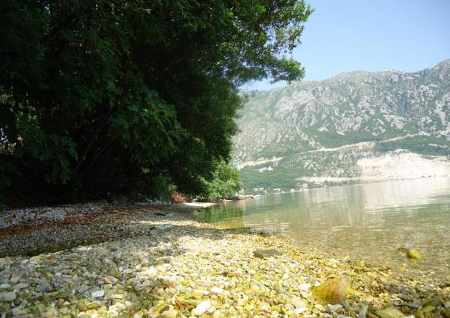 Ground Kostanjica Kotor-Top Estate Montenegro