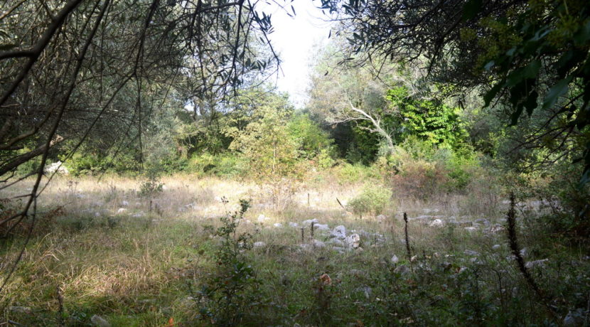 Plot front Zagora Kotor-Top Estate Montenegro
