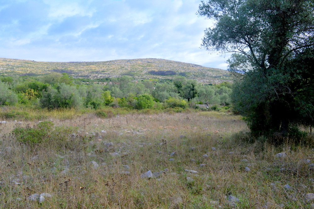 Урбанизированный земельный участок в Загоре, Котор