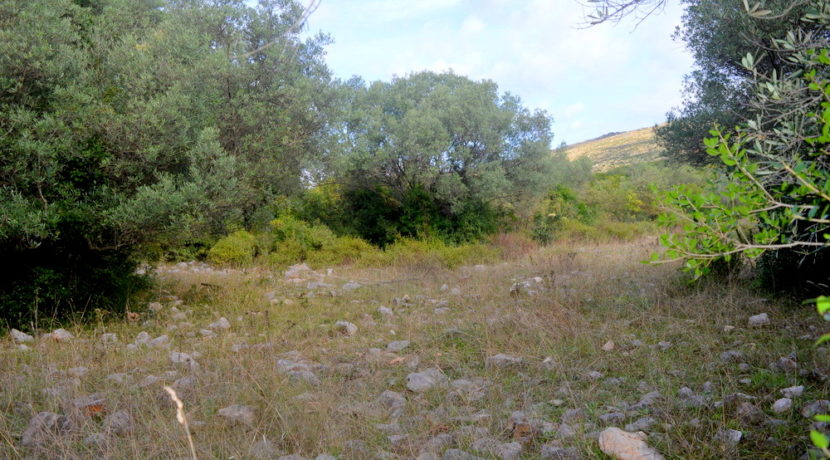 Real estate Zagora Kotor-Top Estate Montenegro