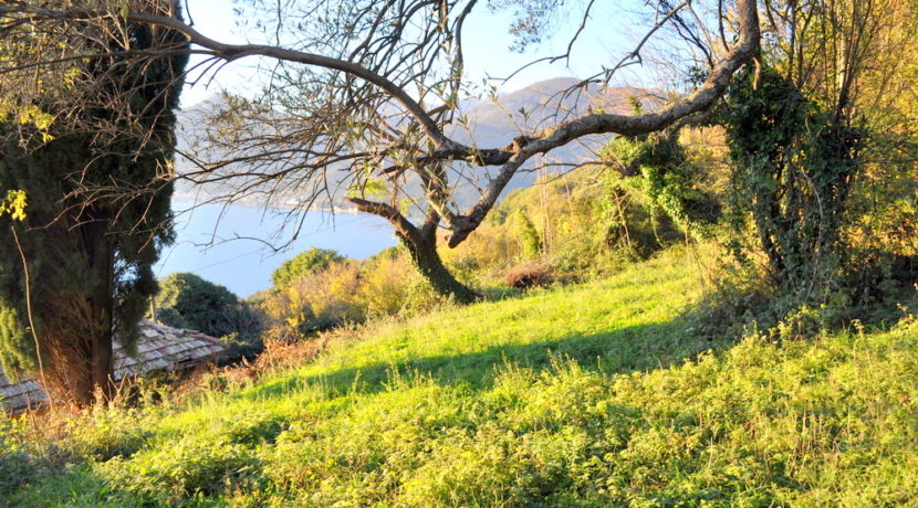 Property Donja Lastva Tivat-Top Estate Montenegro