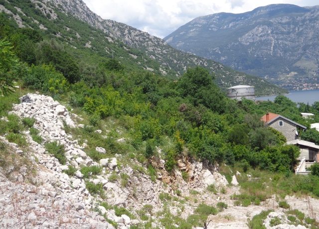 Land Lipci Kotor-Top Estate Montenegro