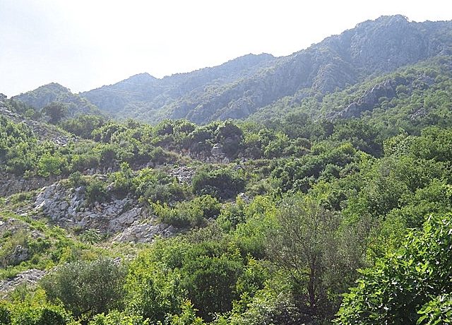 Mountain view property Lipci Kotor-Top Estate Montenegro