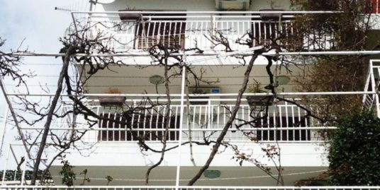 House in the near of city Herceg Novi